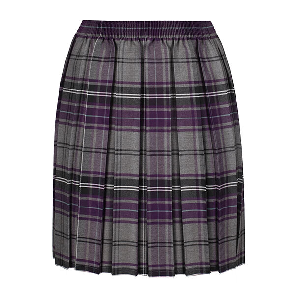 Trent Young's Tartan Skirt  Thumbnail