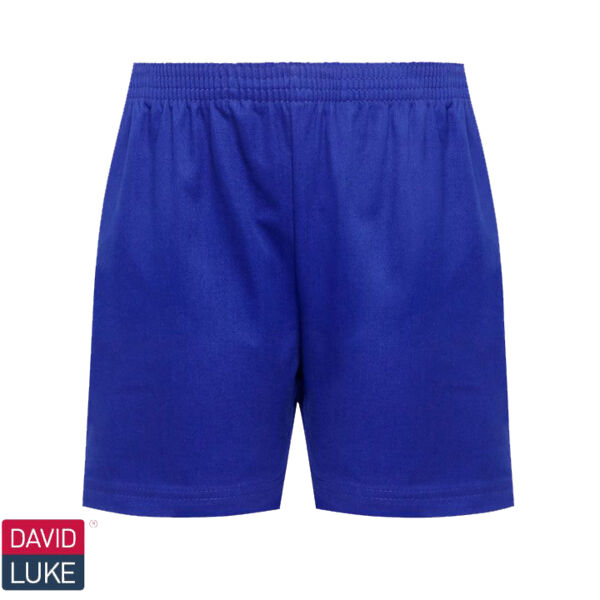David Luke Classic Shorts - Royal Thumbnail